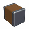 12101C225KAZ2A Image