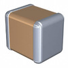 C3225Y5V1C106Z/1.60 Image